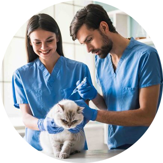 Másteres para veterinarios que quieren emprender 1 Máster Auxiliar Técnico Veterinario - ESSAE Formación